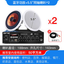 先科SA-9016无线蓝牙音响同轴吸顶喇叭套装嵌入式有线音箱3D环绕重低音室内家用客厅壁挂商用广播 2个5.5寸同轴吸顶+放大器