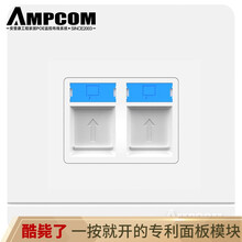 安普康(AMPCOM)二位双口网络面板 工程级电话电视信息开关插座 86型网络面板 双口电脑网线插座AM86S02