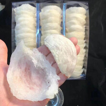 燕窝天然金丝燕干挑大小燕条燕盏 澳福来 孕级干挑官燕燕盏 20克