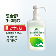 健之素 复合醇手消毒液 清洁速干免水洗手消毒液护肤 免洗洗手液消毒剂500ml 1瓶装 500ml