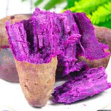 沙地紫薯紫罗兰红薯新鲜蔬菜地瓜番薯粉糯香甜5斤 5斤精选中大果