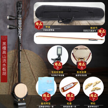 淳乐牌河南豫剧板胡紫檀木板胡紫檀盘龙盘龙演奏板胡中音板胡 高山流水板胡+全套配件