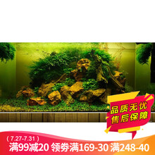 鱼缸造景套餐鱼缸装饰活体水草泥陶粒砂底砂对叶牛毛水草种子套餐活水草 木化石造景 60cm套餐