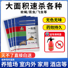 无味 一炮轰苍蝇药 蚊蝇克星持久家用饭店养殖场扫光灭蝇子王 4包加送一个时尚装1斤水喷壶 0片