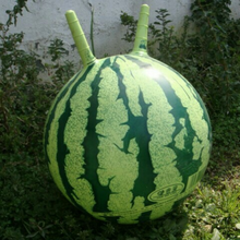 西瓜跳跳球 加厚西瓜羊角球 健身充气弹力球 儿童玩具皮球 一个西瓜羊角