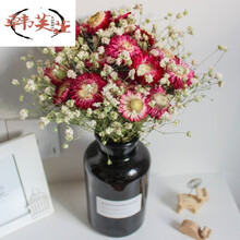 小雏菊干花真花装饰摆件家居客厅摆设花束满天星 25朵紫色小雏菊满天星(不含瓶) 干树枝