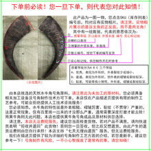 天然水牛角号角原角整角材料 角号制作 道教道士法号师公号角法器 下单前必看