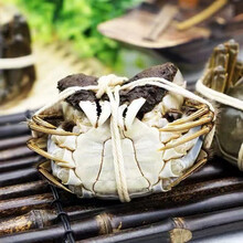 活鲜【冷链运输】现货 六月黄大闸蟹 特大活螃蟹公蟹 礼盒黎麦跃堡 (2.0-2.5)两 12只
