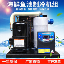 炑森鱼缸冷水机1-5p家用海鲜鱼池制冷机组水族养殖恒温机商用工业降温 3匹单冷开顶式升级版
