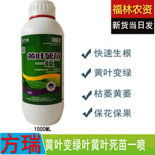 方瑞 黄叶死苗一喷变 叶子变绿卷叶平展死苗黄苗烂根 微量元素含氨基酸水溶肥叶面肥花卉蔬菜果树肥料 1000克/瓶 新货当天配发