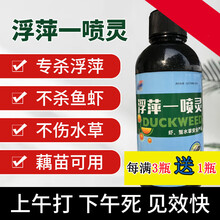 浮萍一喷灵水产养殖不伤水草稻田鱼虾水塘莲藕杀灭除浮萍清理药净 500ml/瓶(每满3瓶送1瓶)