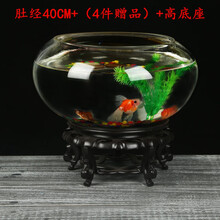 客厅创意小型鱼缸迷你乌龟缸玻璃鱼缸圆形家用金鱼缸办公桌面摆件 米白色 肚经40高底座