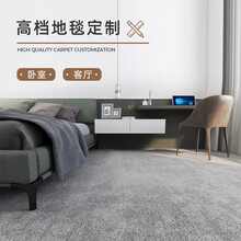 魔毯王国 满铺地毯大面积客厅沙发茶几地毯简约现代卧室房间家用全屋定制 迷雾灰（12mm 毯面重量2800g/㎡） 【快速定制72小时出货】可选颜色138/㎡