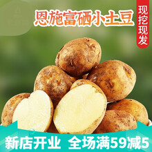 恩施现挖新鲜富硒小土豆10斤农产品黄心小马铃薯蔬菜小洋芋 2500g