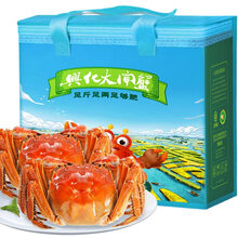 【活蟹】鱻谣 六月黄兴化大闸蟹2.2-2.5两 8只装 鲜活螃蟹礼盒现货实物 海鲜水产 河蟹生鲜