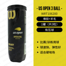 (35元包邮)威尔胜WRT106200美网赛网球正品多少钱