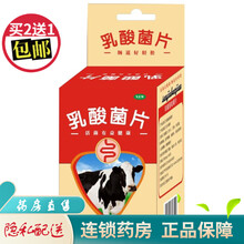 三九保健鑫全康乳酸菌片100片 1盒装