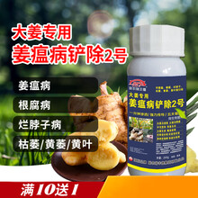 姜瘟病专用药根腐灵枯萎烂脖子病生姜黄叶靑枯病姜瘟净大姜生姜药 4瓶【送3袋叶面肥】