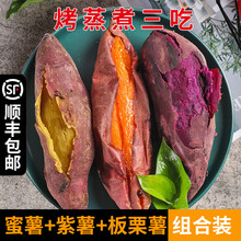 【顺丰速运】红薯组合新鲜农家番薯地瓜板栗薯紫薯沙地烟薯25号糖心红黄心蜜薯【坏果包赔】 9斤 中果