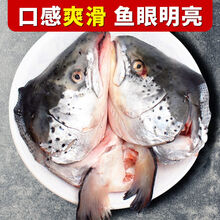 顺丰速运 三文鱼头新鲜去腮超大鱼头冰鲜刺身剁椒鱼头 1只尝鲜装 现切三文鱼头不去腮