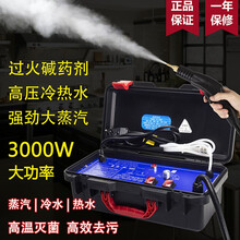 斗蒙 盈亨高温蒸汽清洁机空调清洗机高压蒸汽洗沙发洗油烟机清洗工具全自动清洗机家电清洗设备地毯清洗机 G款-3000W-纯蒸汽-直喷