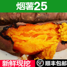 地瓜红薯蜜薯糖心沙地薯烟署25黄心山芋番薯新鲜蔬菜3斤5斤 【新鲜】3斤中果