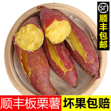 【顺丰】新鲜蜜薯农家板栗薯山东黄心地瓜糖心小番薯沙地红薯顺丰 9斤严选黄心板栗薯【粉糯香甜】顺丰