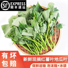 【顺丰配送】闵家山  现采现发 新鲜番薯叶农家自种蔬菜 红薯叶3斤(店长推荐)
