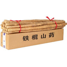 【铁棍山药】温县垆土铁棍山药 新鲜蔬菜  5斤