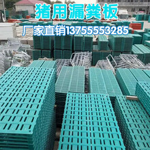 牧克斯 猪用漏粪板BMC复合材料母猪产床定位栏保育分娩床仔猪专用漏粪板 150*60全漏保育板(1.5CM孔)(10块起发