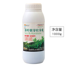 茶叶专用催芽剂壮芽素促长剂生长素催芽水溶肥料叶面肥料 1000毫升/瓶