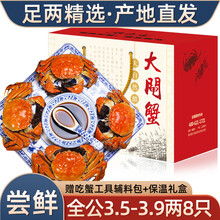 【活蟹】8只装臻原生阳澄湖六月黄大闸蟹鲜活螃蟹现货海鲜水产生鲜蟹类礼盒 全公蟹：3.5-3.9两（8只）