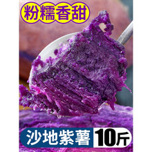 紫薯新鲜番薯地瓜农家10斤香红沙地薯糖心山芋5 10斤 中果