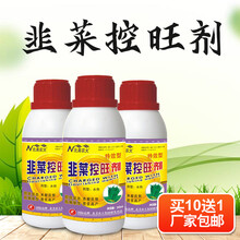 韭菜专用控旺剂 促控素韭菜叶面肥 促生根控旺长抗倒伏生长调节剂 3瓶【200克/瓶】