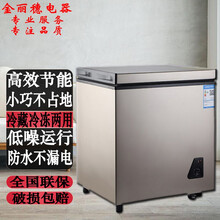 小冰柜家用小型冷冻柜迷你商用大容量冷藏柜双门双温节能 世雅 149-标准款【只换不修】