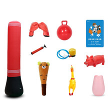 容大天成（RDTC）宣泄器材套装减压发泄心理室仿真遥控录音版情绪宣泄人设备脸谱锻炼健身用品训练设备 宣泄套装一 颜色随机发货