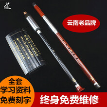 巴乌横吹竖吹演奏型乐器 红木横吹C调