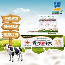 青藏牧场青海特产 犏牛奶 优质乳蛋白醇香浓郁 180g礼品儿童学生早餐奶 180g*16袋 犏牛奶