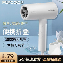 飞科（FLYCO） 电吹风 家用负离子大功率吹风筒可折叠便携式吹风机6276 1800W大功率负离子