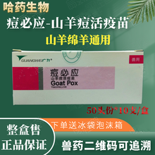 哈药 痘必应 山羊痘活疫苗 山羊绵羊痘疫苗 预防羊痘 整盒售 50头份/瓶*10瓶/盒