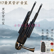 17簧扩音圆笙乐器专业儿童初学入门CEGD调民族乐器笙 17簧【黑管】扩音笙