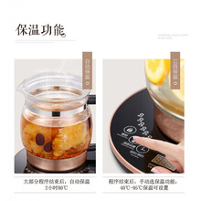 达洛优养生壶全自动加厚玻璃电煮茶壶中药壶煎药大容量2-2.5l黑茶小秋家 炖盅+大滤网+酸奶杯蛋架+除垢剂 升级版2.5L