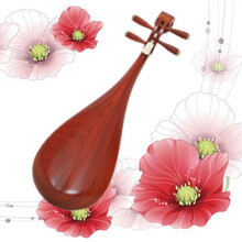 琵琶乐器 花梨木琵琶 鸡翅木花梨贝雕儿童初学演奏考级专琵笆 花梨木儿童琵琶（+全套配件）