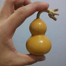 八宝葫芦娃迷你手捻葫芦种子特大葫芦食用西葫芦种子瓠子种子 手捻葫芦5粒