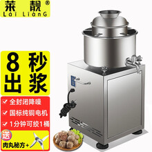 莱靓 肉丸打浆机商用 绞肉机大功率多功能打肉丸机家用鱼丸肉浆肉泥机全自动不锈钢 28型【4千瓦/380V无开关】8-20斤量