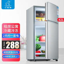 小鸭牌【送货上门】小冰箱迷你小型家用 冷藏冷冻 租房宿舍双门电冰箱一级节能省电 双门银色-42L【三级能耗】