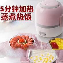 健丝美加热饭盒可插电上班族保温电热蒸煮自热便当盒便携带饭锅神器RM 粉色双层(带精美餐具）