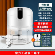 威凰 电动蒜蓉机小型切打压剥蒜器搅碎机厨房家用绞肉机 升级绞肉绞蒜+挡板250ML双刀 电动速绞【三年不坏+用坏换新】