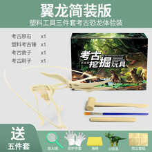 恐龙化石霸王龙骨架模型儿童手工diy制作挖宝石宝藏考古挖掘玩具 【简装】翼龙-肉食性