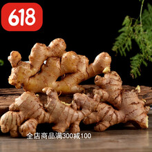 【老姜】正宗云南小黄姜新鲜现挖生姜月子姜黄姜火锅调味料 整块姜 10斤装(含箱)